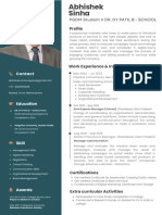 Professional CV Resume - 20240603 - 190705 - 0000