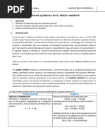 Reacciones Químicas en El Medio Ambiente