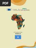 Ip Somalia Final