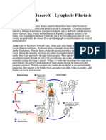 Wuchereria Bancrofti