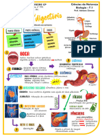 7.1 Sistema Digestório