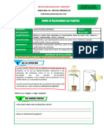 Actividad Sesion 4 Como Se Relacionan Las Plantas