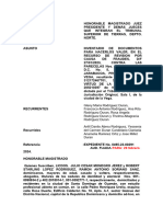 PDF Documento