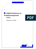 CA800 Structures in Project Management
