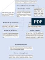 Mapa Conceptual de Los Biomas 3