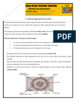 11.1. Transport and Storage in Plants