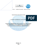 TCC - EcologiaReprodutivaPericlimenes