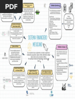 Sistema Financiero - Mapa Mental PDF