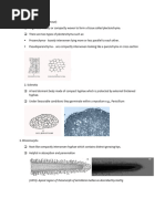 Bot 301 Mycology Notes Part 2 25TH Sept.