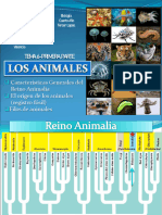 Tercer Lapso - Tema 6 - Parte 1 - Los Animales Caracteres Generales y Origen