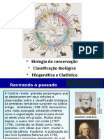 As Regras de Nomenclatura Binomial de Lineu e Formas de Classificação Biológica