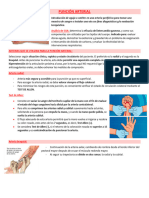 Procedimiento Puncion Arterial