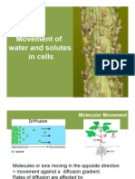 Lecture 3 Water and Solute Movements in Plants