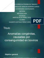 Anomalias Congenitas