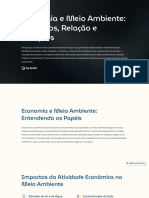 Economia e Meio Ambiente Impactos Relacao e Solucoes