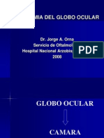 Anatomia Del Globo Ocular