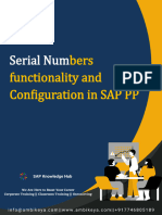 Serial Numbers Functionality and Configuration in SAP PP