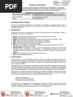 TDR Consultor Politicos