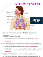 Respiratory Anatomy