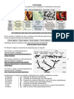 Classificação Dos Seres Vivos 2