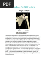 1425941980-Guidelines For SLAP Lesions