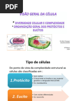 Aula 2 - Visao Geral Da Celula-3