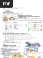 Eukaryotic Cell