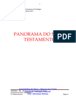 Panorama Do Novo Testamento