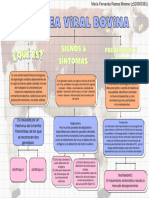 MAPA CONCEPTUAL Diarrea Viral Bovina