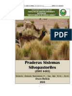 Praderas-Sist Silvopastoriales