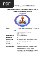 Trabajo Grupal V Ciclo Practica e Investigación