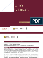 Proyecto Transversal Segundo