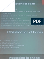 Bones