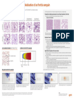 Blood Smear Evaluation Basics (French), Belgium Luxembourg