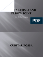 Cubital Fossa and Elbow Joint