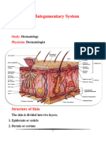 Integumentary System