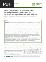 Lignin Biosynthesis Perturbations Affect