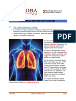 The Human Respiratory System - 240602 - 153101