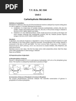 T.Y. B.Sc. BC-504 Unit-I Carbohydrate Metabolism