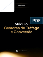 Módulo (BÔNUS) Gestores de Tráfego e Conversao