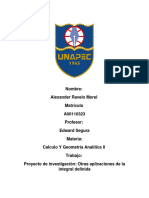 Trabajo Final Calculo LL PDF