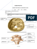 Examen Practco Unidad 1