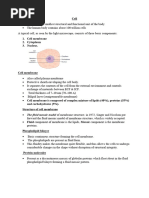 Cell & Organelles