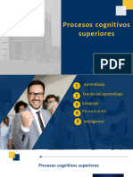 Procesos Cognitivos Superiroes