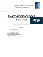 Anatomofis. Primer Parcial