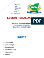 Lesión Renal Aguda