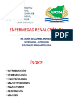 Enfermedad Renal Crónica