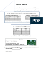 Bank Soal Numerasi Dan Sulingjar - Model 1 - Final