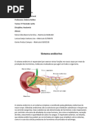 Sistema Endócrino