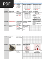 Práctica EKG